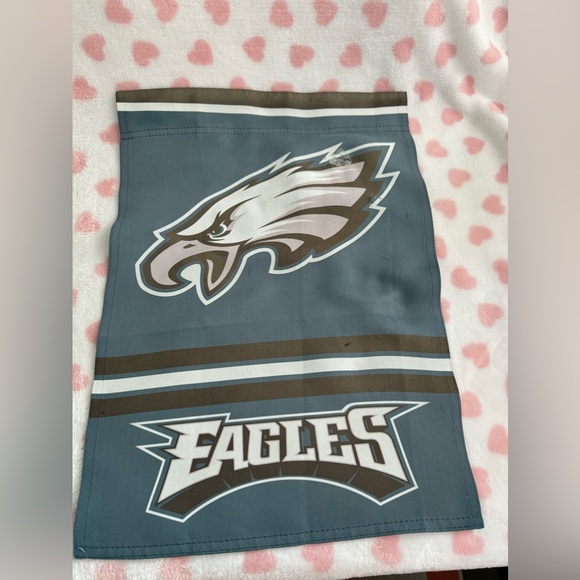 Philadelphia Eagles flag birds - Picture 2 of 4